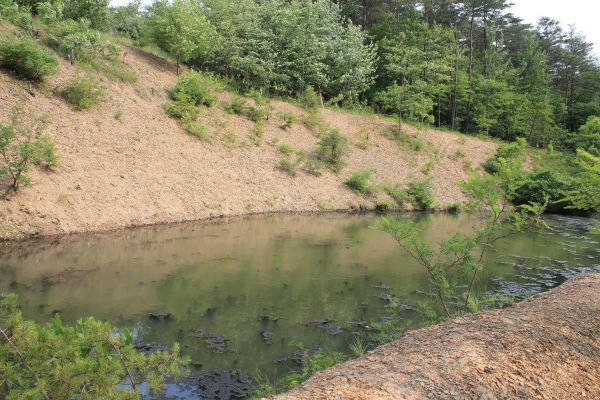 Cost of Pond Erosion Repair in Mankato